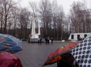 Митинг, посвященный Дню Победы на Петелинском кладбище